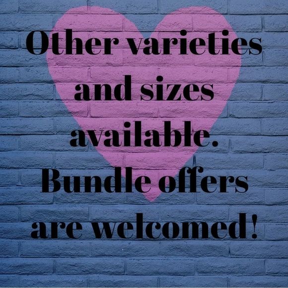 2 MAD Engine T-Shirts - Picture 6 of 6